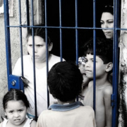 Cb MLAL, 2008