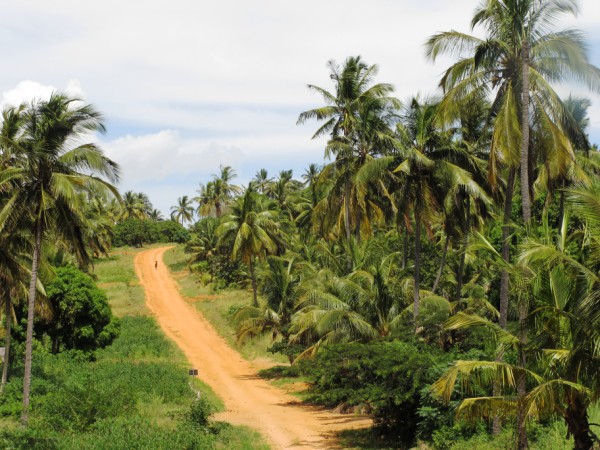 Panorama Mozambicano