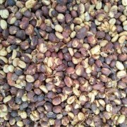 Colombia_corpi civili di pace_caffè Colombia_corpi civili di pace_caffè