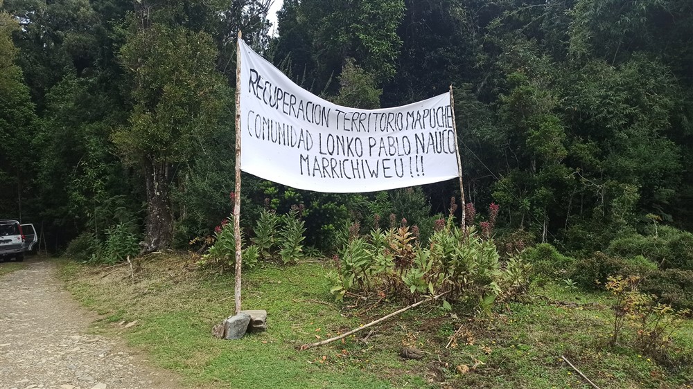 Cile_recuperazione_Mapuche
