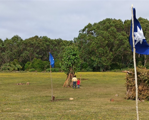 PopolazioneMapuche_Cile