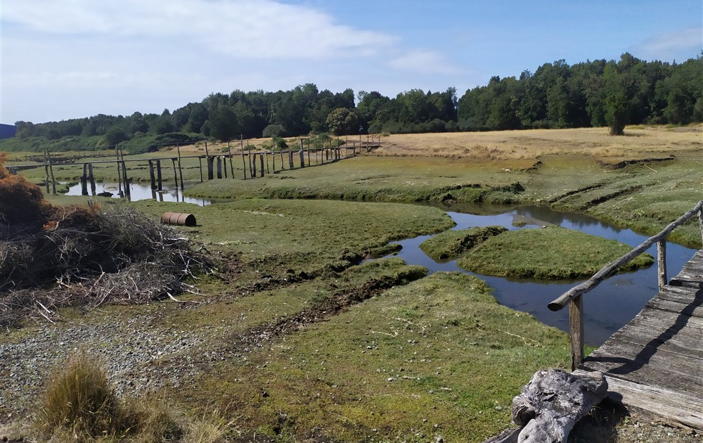 salmoniera_chile_caschibianchi_apg23