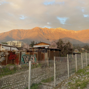 CILE_SANTIAGO_AGATA OLIVARI