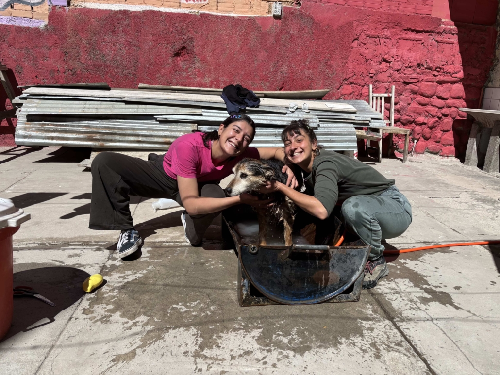 Servizio Civile in Bolivia_Esperienze