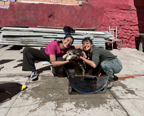 Servizio Civile in Bolivia_Esperienze